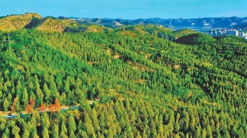 劃時(shí)代意義的電、磁、聲、波技術(shù)工程 是推動(dòng)農(nóng)林業(yè)發(fā)展的主動(dòng)力